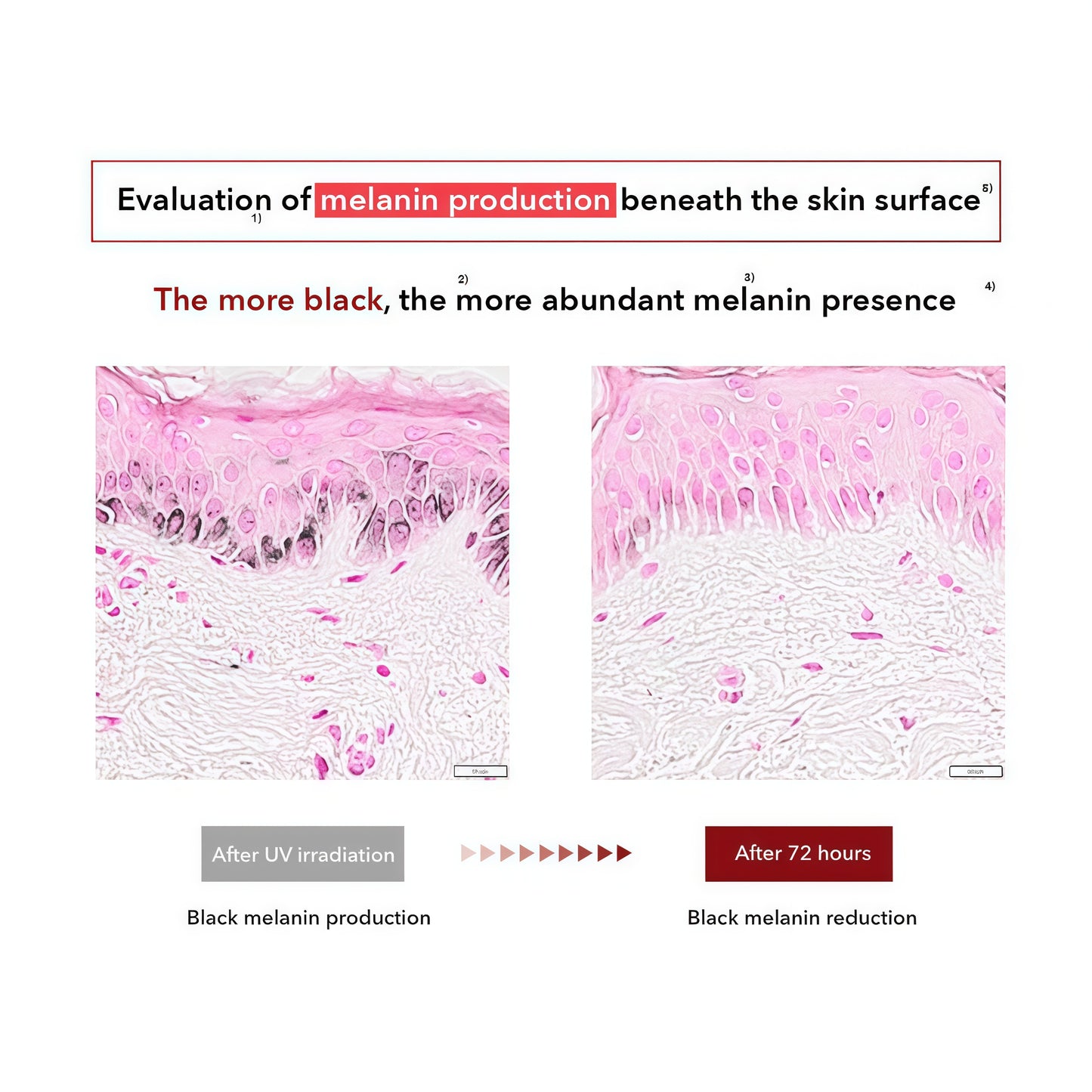 CENTELLIAN 24 Madeca Cream Time Reverse (1.69fl oz) - Advanced Fast-Absorbing & Nourishing, Hydrates, Firms & Reduces Wrinkles, Low Irritation, Korean Skin Care Centella Asiatica, Collagen